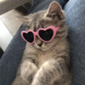 Meet your Posher, Anna